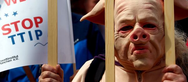 People dressed in costumes take part in a demonstration against the Transatlantic Trade and Investment Partnership (TTIP), a proposed free trade agreement between the European Union and the United States, in Munich April 18, 2015 - Sputnik International