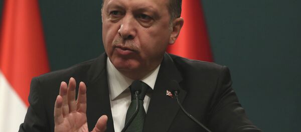 Turkish President Recep Tayyip Erdogan speaks to the media during a joint press conference with his Hungarian counterpart Janos Ader after their talks in Ankara - Sputnik International