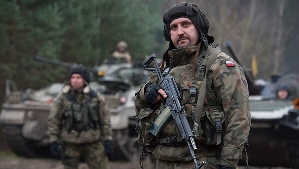 Polish Soldier with Beryl Assault Rifle - Sputnik International