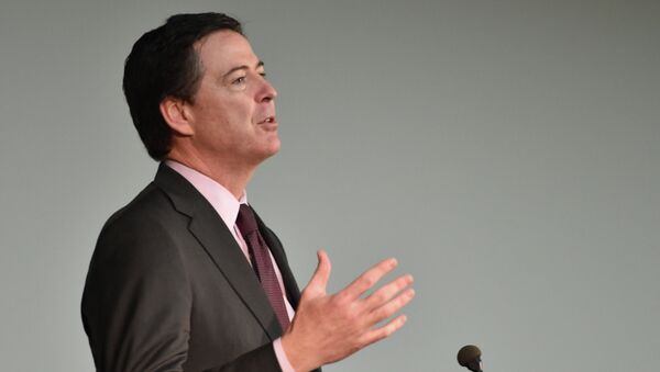 FBI Director James Comey addresses the audience during the Overseas Security Advisory Council (OSAC) meeting at the State Department in Washington, DC - Sputnik International