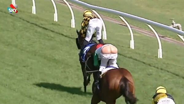 Jockey's Pants Fall Down As He Finishes The Race - Sputnik International