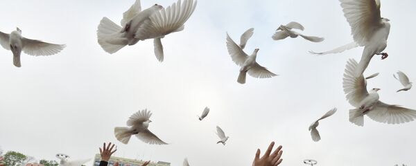 Rally held to commemorate those killed in Odessa on May 2, 2014 Rally held to commemorate those killed in Odessa on May 2, 2014 - Sputnik International