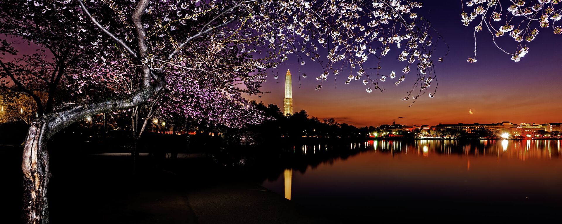   Cherry Washington Monument - Sputnik International, 1920, 24.10.2025