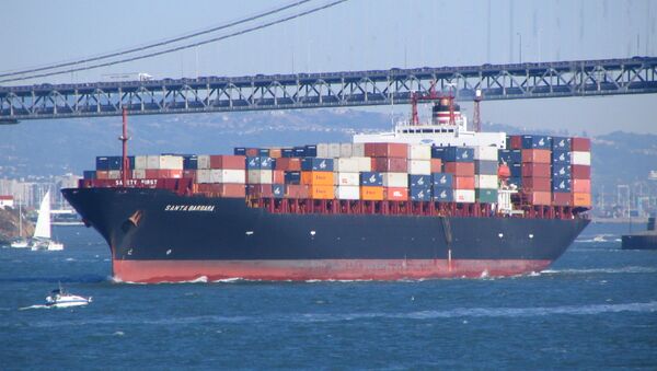 A container ship leaves the bay area. - Sputnik International