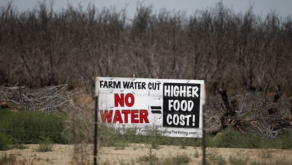 A water protest sign is seen in front of a field of dead trees in Coalinga, California, United States May 5, 2015 - Sputnik International