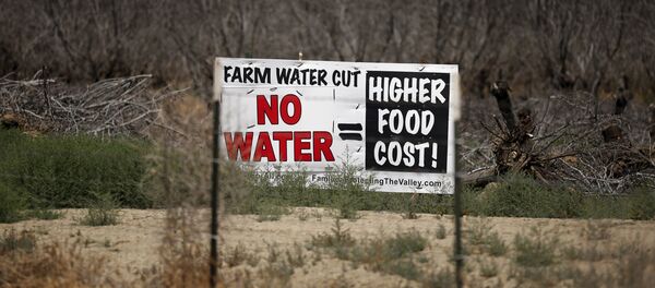 A water protest sign is seen in front of a field of dead trees in Coalinga, California, United States May 5, 2015 - Sputnik International