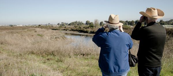 Retirement is looking further and further away. - Sputnik International