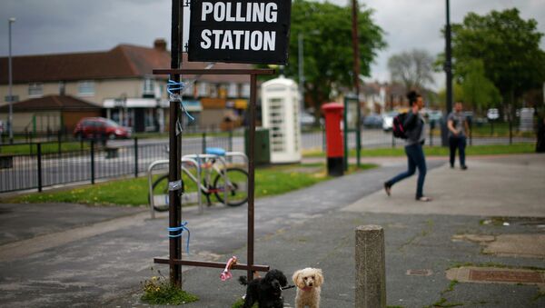 Dogs wait for their owner as he casts his vote at a polling station in a hairdressers during the election in Hull, Britain May 7, 2015 - Sputnik International