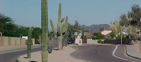Arizona Town Secretly Installs Plate  Scanning Cameras in Fake Cactuses - Sputnik International