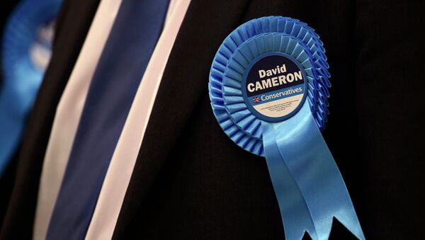 A Conservative party supporter wears a rosette in support of Prime Minister and local member of Parliament David Cameron at the counting centre, as votes are counted in Britain's general election, in Witney, May 8, 2015 - Sputnik International