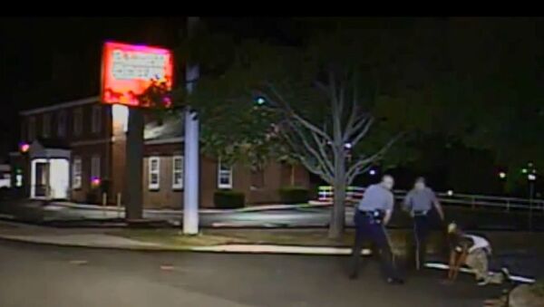 Dover Police Department dashcam video of Aug 2014 incident. - Sputnik International