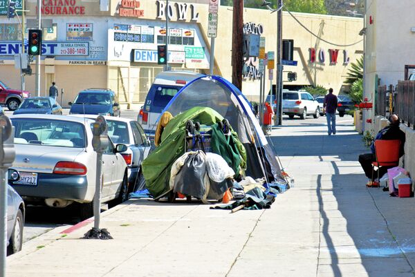 The survey of Los Angeles County's homeless population - which has seen a surge in encampments like the one pictured above - takes place every two years. In January, over three days, 5,500 volunteers participated in the survey from which a final number is extrapolated. The survey of Los Angeles County's homeless population - which has seen a surge in encampments like the one pictured above - takes place every two years. In January, over three days, 5,500 volunteers participated in the survey from which a final number is extrapolated. - Sputnik International