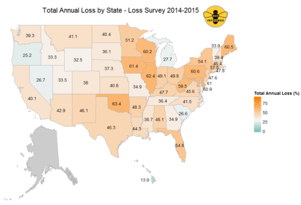 The loss of colonies varied across geographical regions. Some states like Michigan, Illinois and Iowa lost over 64% of their honeybee colonies, while Hawai'i was the geographical and statistical outlier, losing only around 14% of colonies. The loss of colonies varied across geographical regions. Some states like Michigan, Illinois and Iowa lost over 64% of their honeybee colonies, while Hawai'i was the geographical and statistical outlier, losing only around 14% of colonies. - Sputnik International