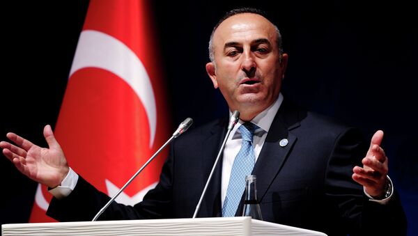 Turkish Foreign Minister Mevlut Cavusoglu gestures during a press conference - Sputnik International