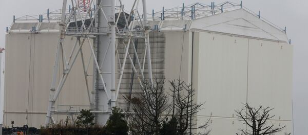 A building covering the Unit 1 reactor is removed by a crane at the Fukushima Dai-ichi nuclear power plant in Okuma, Fukushima Prefecture, northeastern Japan on November 12, 2014 - Sputnik International