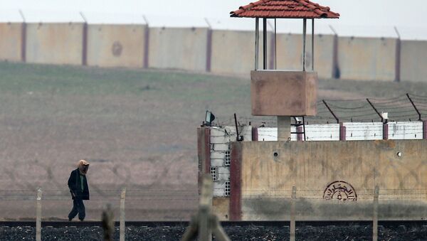 An armed man walks in IS-controlled Tal Abyad across the Turkish Akcakale border gate - Sputnik International