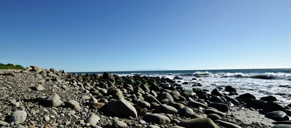 Refugio Beach State Park Refugio Beach State Park - Sputnik International