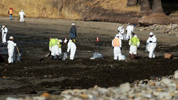 Clean up crews remove oil-laden sand on the beach at Refugio State Beach, site of an oil spill. - Sputnik International