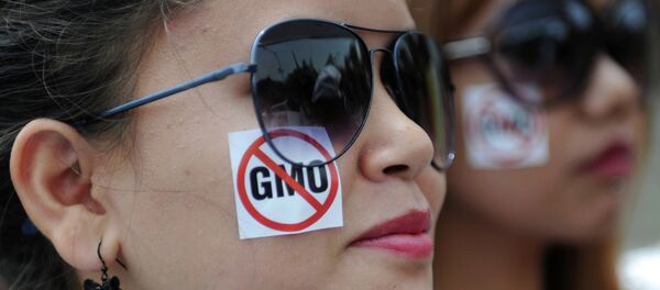 Greenpeace activists take part in a protest march against Monsanto in Bangalore on May 24, 2014 Greenpeace activists take part in a protest march against Monsanto in Bangalore on May 24, 2014 - Sputnik International