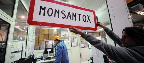 An anti-GMO (genetically-modified crops) activist holds a town entrance roadsign reading Monsantox after anti-GMO activists entered a production site of US agro-chemicals giant Monsanto to protest aganinst the use of GMO crops An anti-GMO (genetically-modified crops) activist holds a town entrance roadsign reading Monsantox after anti-GMO activists entered a production site of US agro-chemicals giant Monsanto to protest aganinst the use of GMO crops - Sputnik International