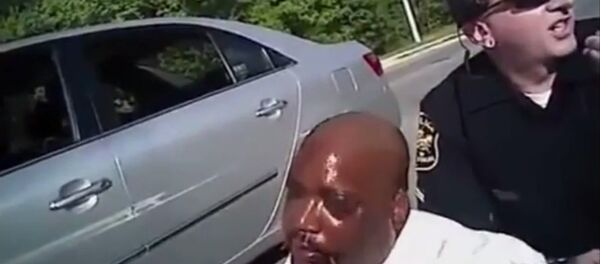 Screenshot from an officer's bodycam shows the stop of David Washington Screenshot from an officer's bodycam shows the stop of David Washington - Sputnik International