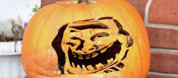 This pumpkin on Scotland Ave. in Chambersburg is carved into a popular internet troll face meme on Wednesday, October 15, 2014 - Sputnik International