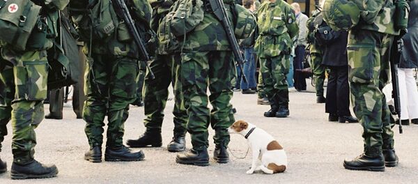 Green men and small dog.  Stockholm, Sweden - Sputnik International