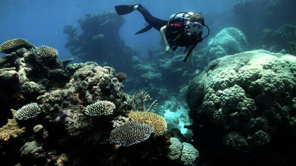 Great Barrier Reef - Sputnik International