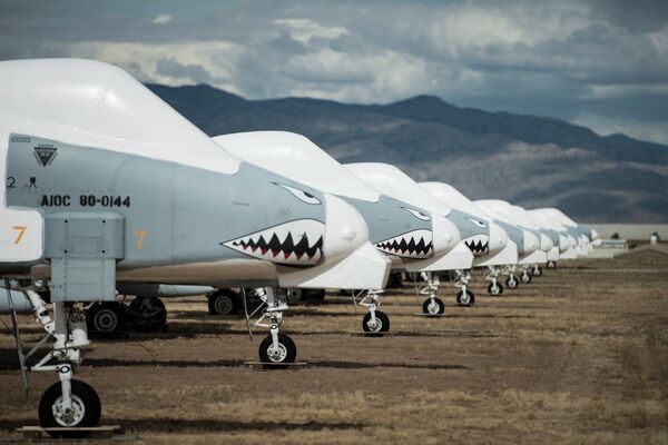 Fairchild Republic A-10 Thunderbolt II aircraft are seen stored in the boneyard at the Aerospace Maintenance and Regeneration Group on Davis-Monthan Air Force Base in Tucson, Arizona  - Sputnik International