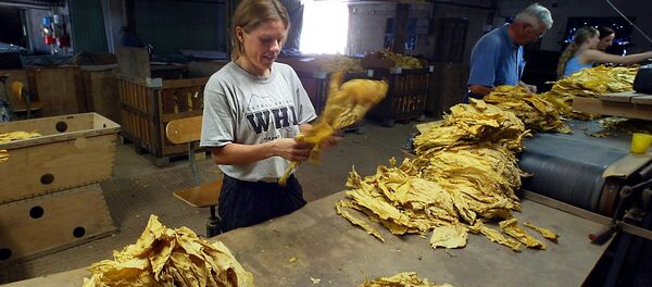 EU Deal With Tobacco Industry Becoming a Smokescreen EU Deal With Tobacco Industry Becoming a Smokescreen - Sputnik International