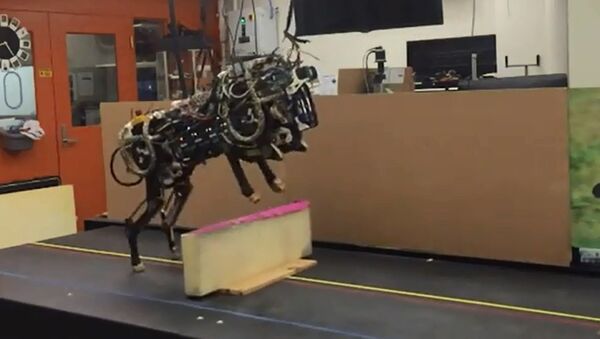 MIT Cheetah-Robot - Sputnik International