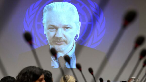 WikiLeaks founder Julian Assange is seen on a screen speaking via web cast from the Ecuadorian Embassy in London during an event on the sideline of the United Nations (UN) Human Rights Council session - Sputnik International