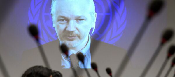 WikiLeaks founder Julian Assange is seen on a screen speaking via web cast from the Ecuadorian Embassy in London during an event on the sideline of the United Nations (UN) Human Rights Council session WikiLeaks founder Julian Assange is seen on a screen speaking via web cast from the Ecuadorian Embassy in London during an event on the sideline of the United Nations (UN) Human Rights Council session - Sputnik International
