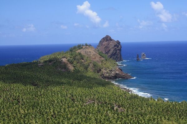 The coconut forest leading out to the tip of Pagan. - Sputnik International