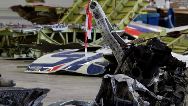 Parts of the wreckage of the Malaysia Airlines Flight 17 are displayed in a hangar at Gilze-Rijen airbase, Netherlands - Sputnik International