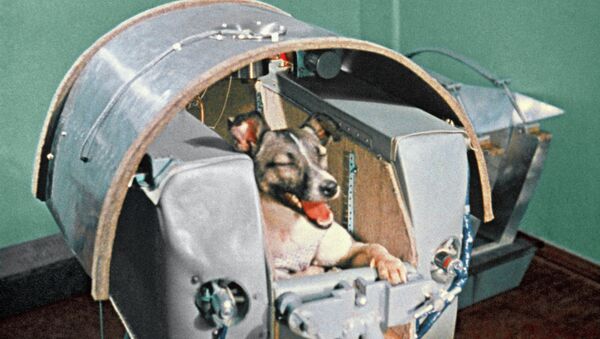 Space dog Laika - Sputnik International