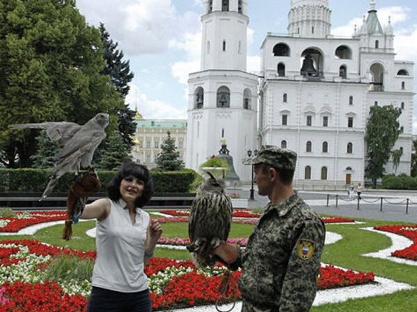 Filya the eagle-owl and one of the Kremlin's falcons. Filya the eagle-owl and one of the Kremlin's falcons. - Sputnik International