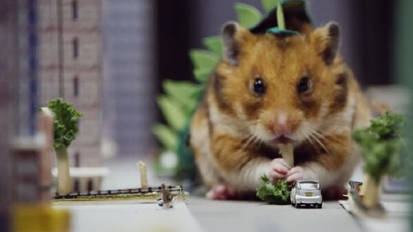 Tiny Hamster is a Giant Monster - Sputnik International