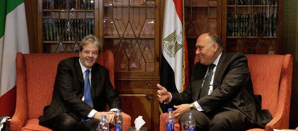 Egyptian Foreign Minister Sameh Shukri, right, speaks to his Italian counterpart Paolo Gentiloni in Cairo, Egypt, Sunday, June 7, 2015 Egyptian Foreign Minister Sameh Shukri, right, speaks to his Italian counterpart Paolo Gentiloni in Cairo, Egypt, Sunday, June 7, 2015 - Sputnik International