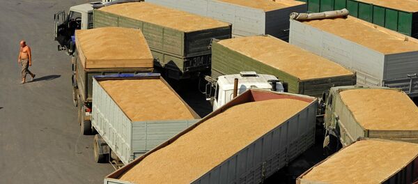 Grain terminal in the port of Novorossiysk Grain terminal in the port of Novorossiysk - Sputnik International