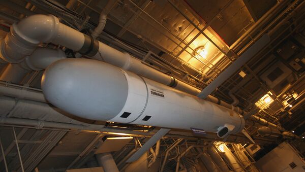 The nuclear-capable subsonic Tomahawk cruise missile. - Sputnik International