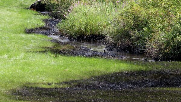 Oil is seen along Talmadge Creek in Marshall Township, Mich., near the Kalamazoo River Thursday, July 29, 2010 - Sputnik International