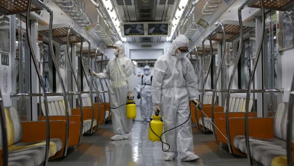Workers in full protective gear disinfect the interior of a subway train at a Seoul Metro's railway vehicle base in Goyang, South Korea, June 9, 2015 - Sputnik International