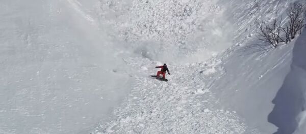 Avalanche! Run Rabbit Run - Sputnik International