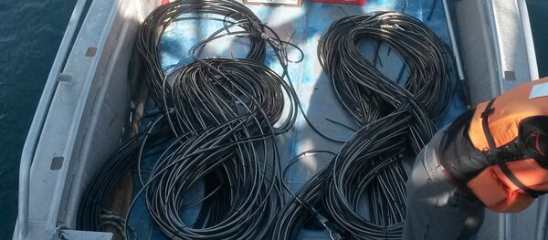 Organized Hydrophone Cables Organized Hydrophone Cables - Sputnik International