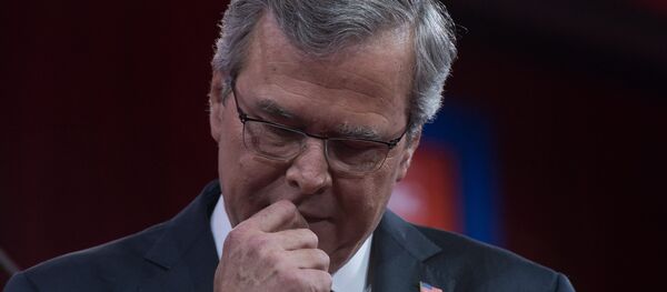 Former Florida Governor Jeb Bush Former Florida Governor Jeb Bush - Sputnik International