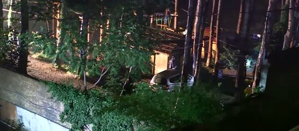 Animals are being caught in Tbilisi after a flood Animals are being caught in Tbilisi after a flood - Sputnik International