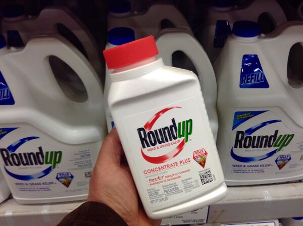 The French Ministry of Ecology declared a ban on the use of Monsanto's Roundup herbicide in the nation's nurseries and garden centers Sunday, citing the previous UN classification of the chemical glyphosate as possibly carcinogenic. The French Ministry of Ecology declared a ban on the use of Monsanto's Roundup herbicide in the nation's nurseries and garden centers Sunday, citing the previous UN classification of the chemical glyphosate as possibly carcinogenic. - Sputnik International