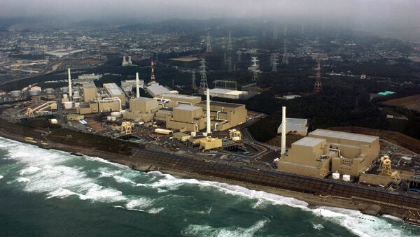 This aerial view, taken on February 2005, shows Chubu Electric Power's Hamaoka nuclear power plant at Omaezaki city in Shizuoka prefecture, 200km west of Tokyo - Sputnik International