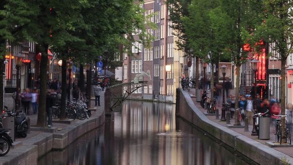 A rendering shows the future pedestrian bridge across an Amsterdam canal being 3-D printed by on-site robots - Sputnik International